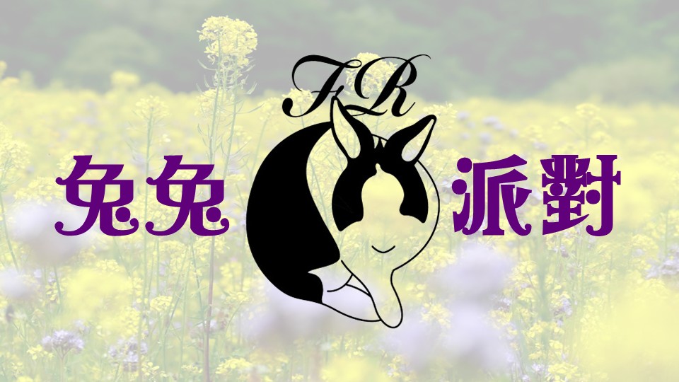 🐇兔兔派對🐇