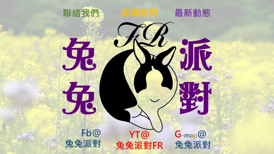 🐇兔兔派對LINE@🐇